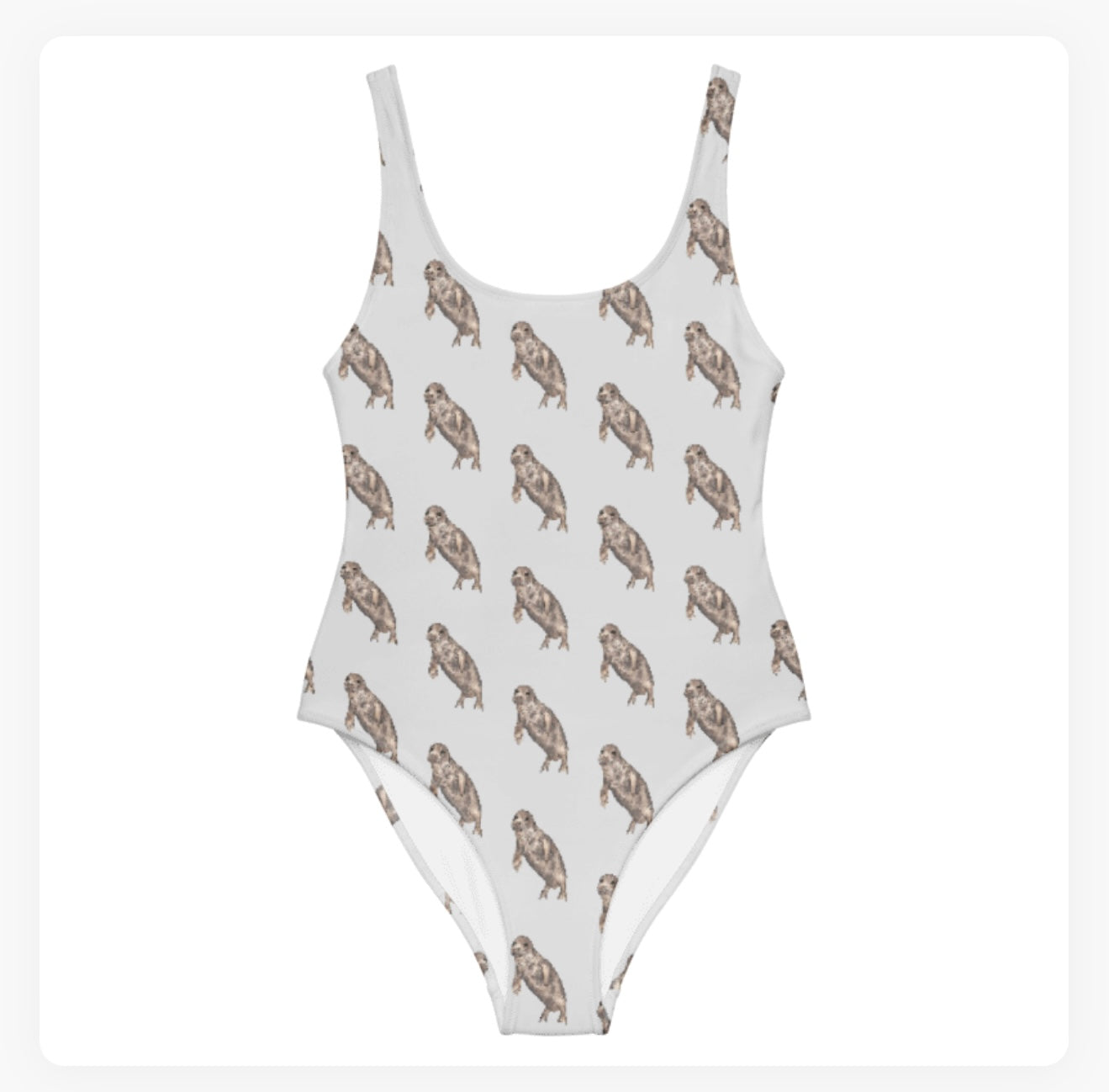 The Seal Project Swimsuit