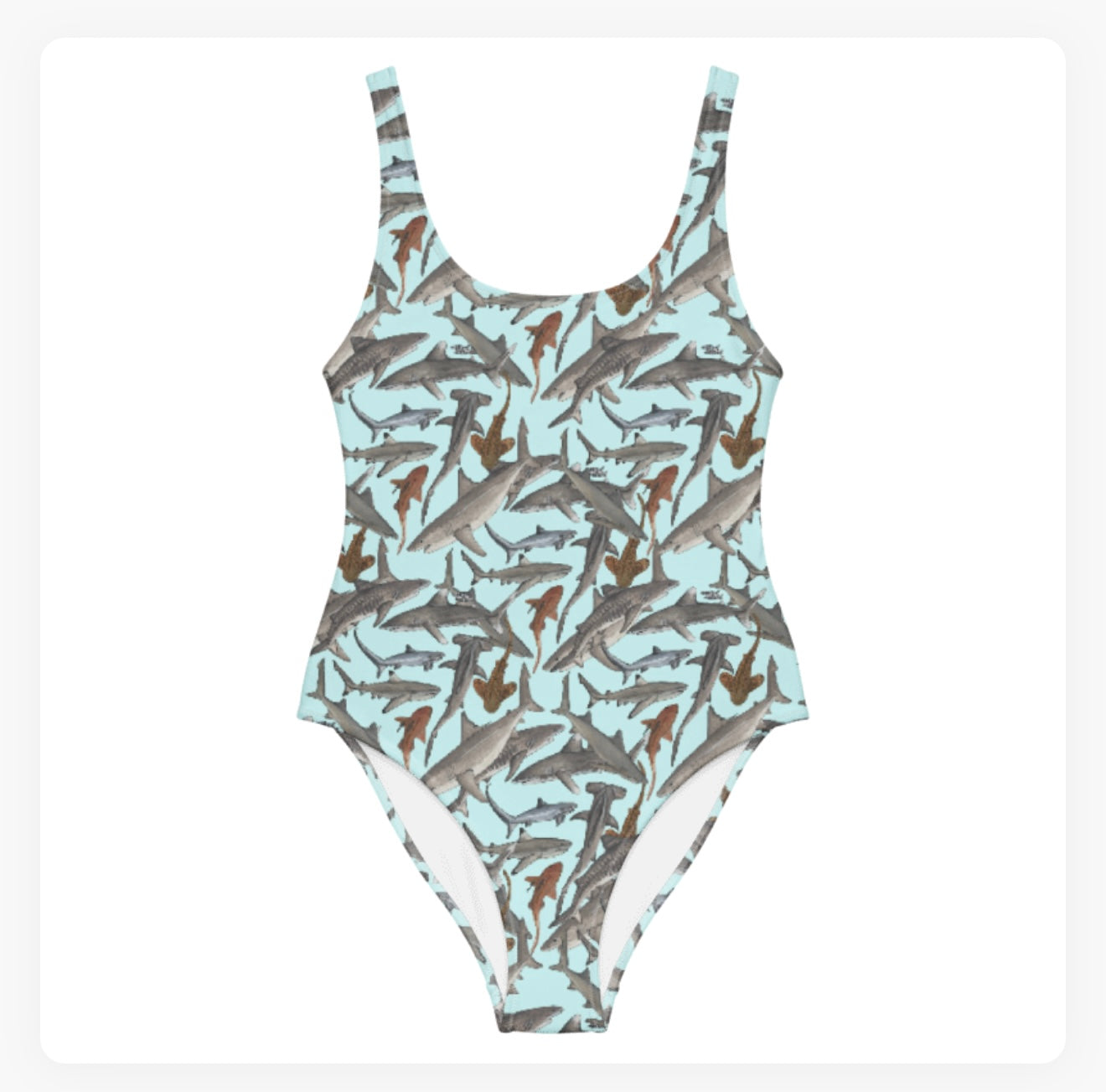 Shark Guardian Charity Swimsuits