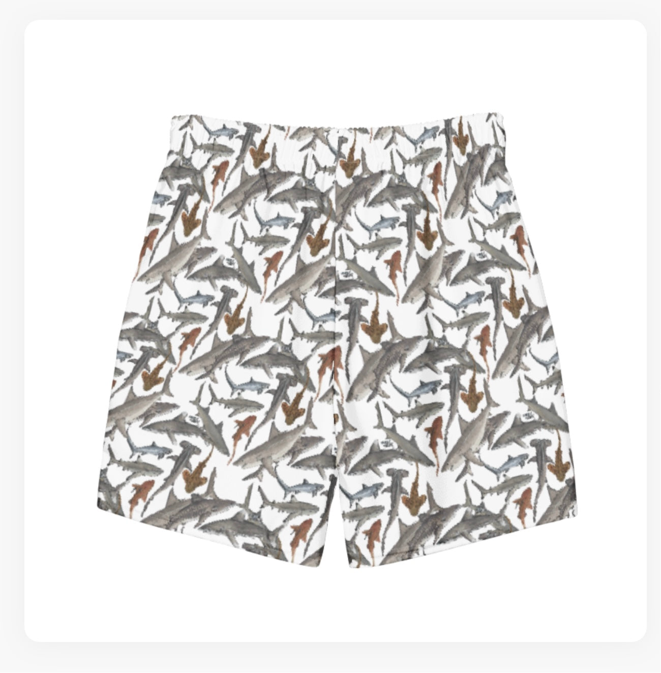 Shark Guardian Charity Trunks