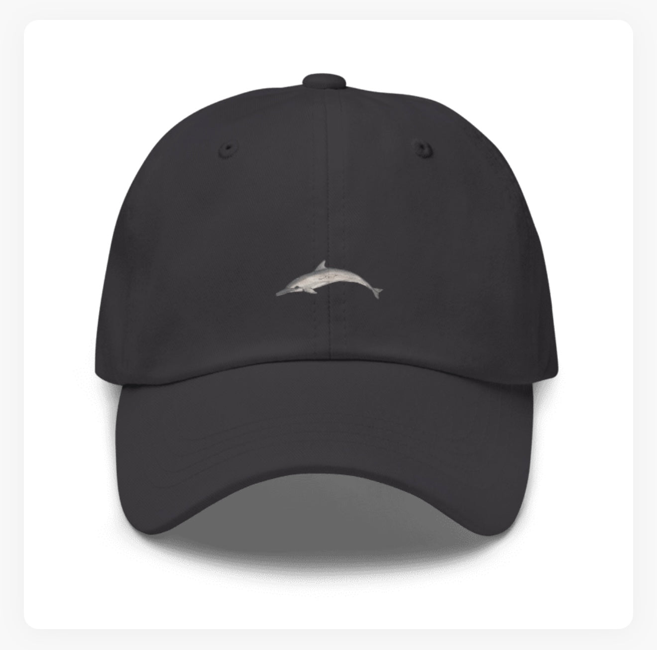 Dolphin Baseball Hat