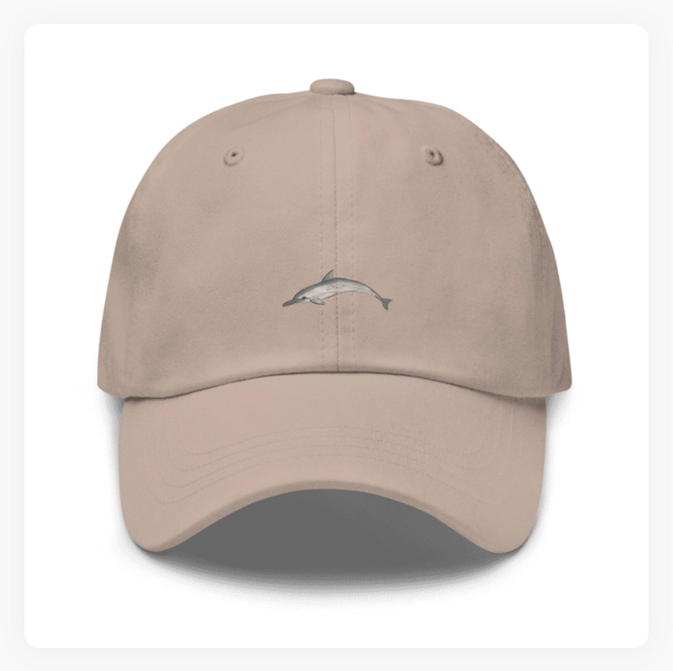Dolphin Baseball Hat