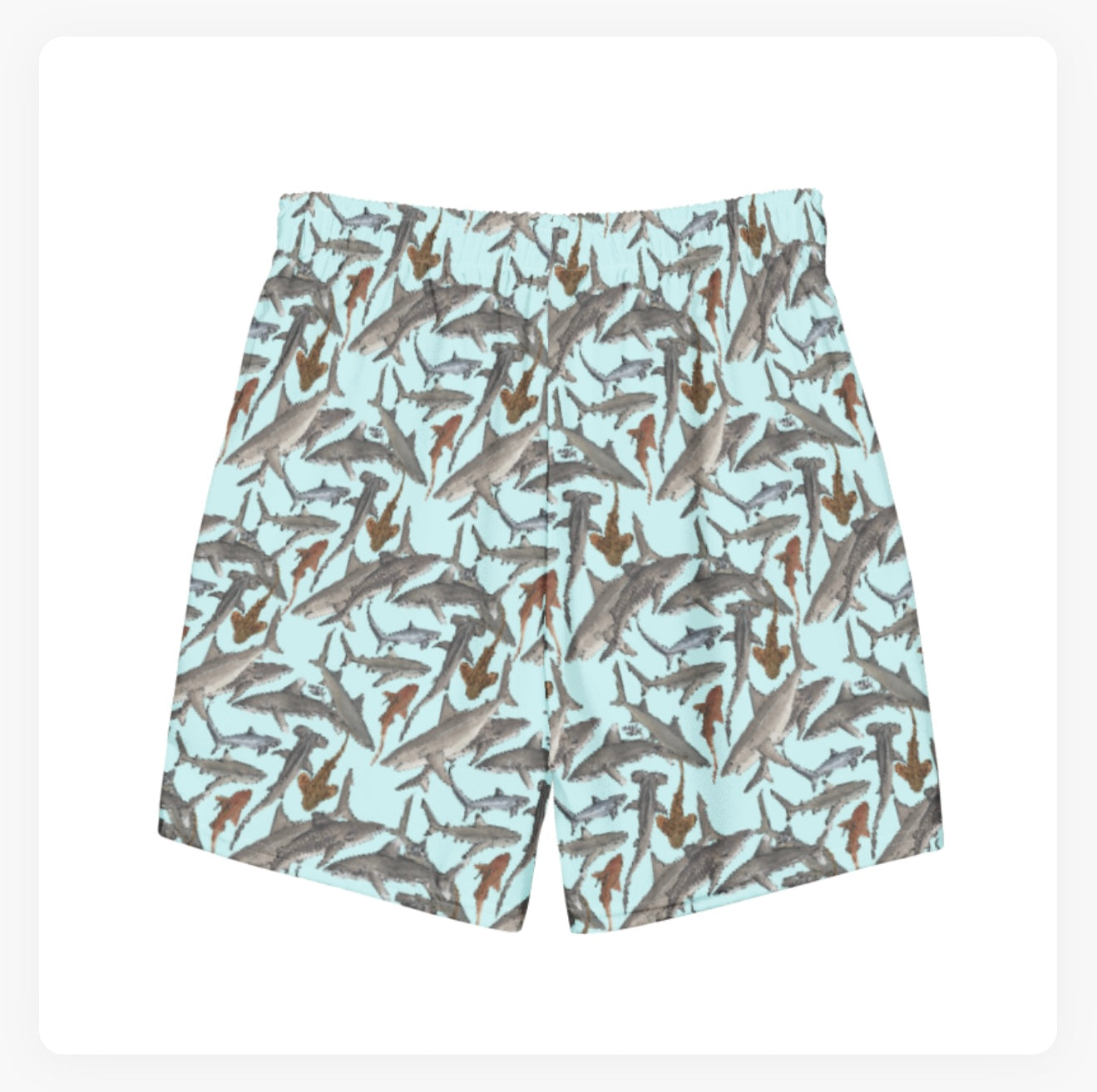 Shark Guardian Charity Trunks