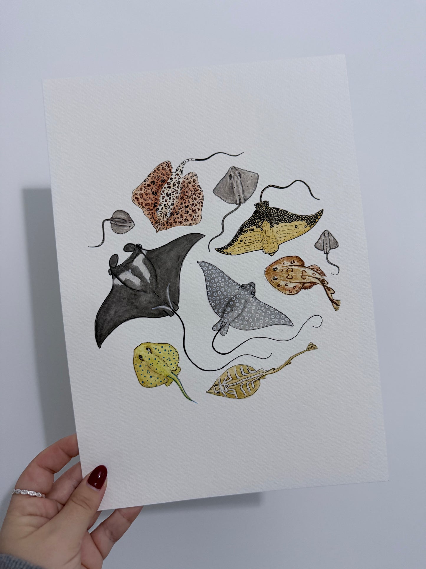 Oceanic Ray Watercolour Print