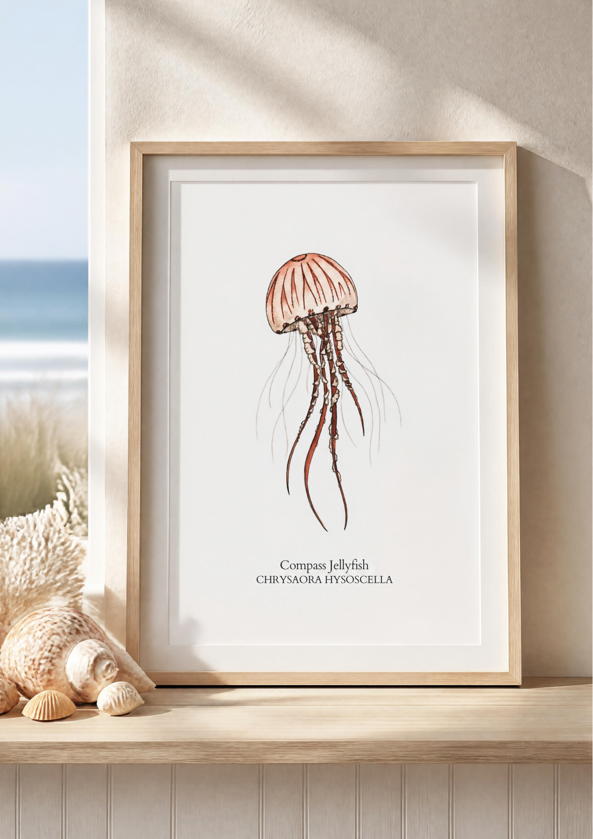 Compass Jellyfish Fine Art Watercolour Print
