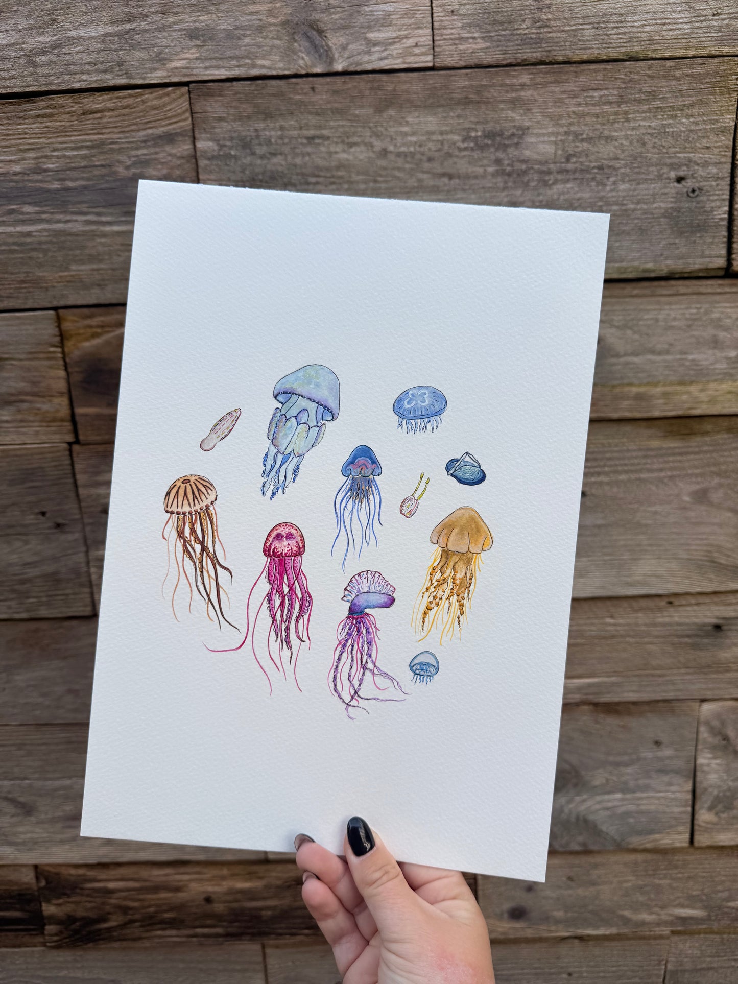 Jellyfish Fine Art Watercolour Print