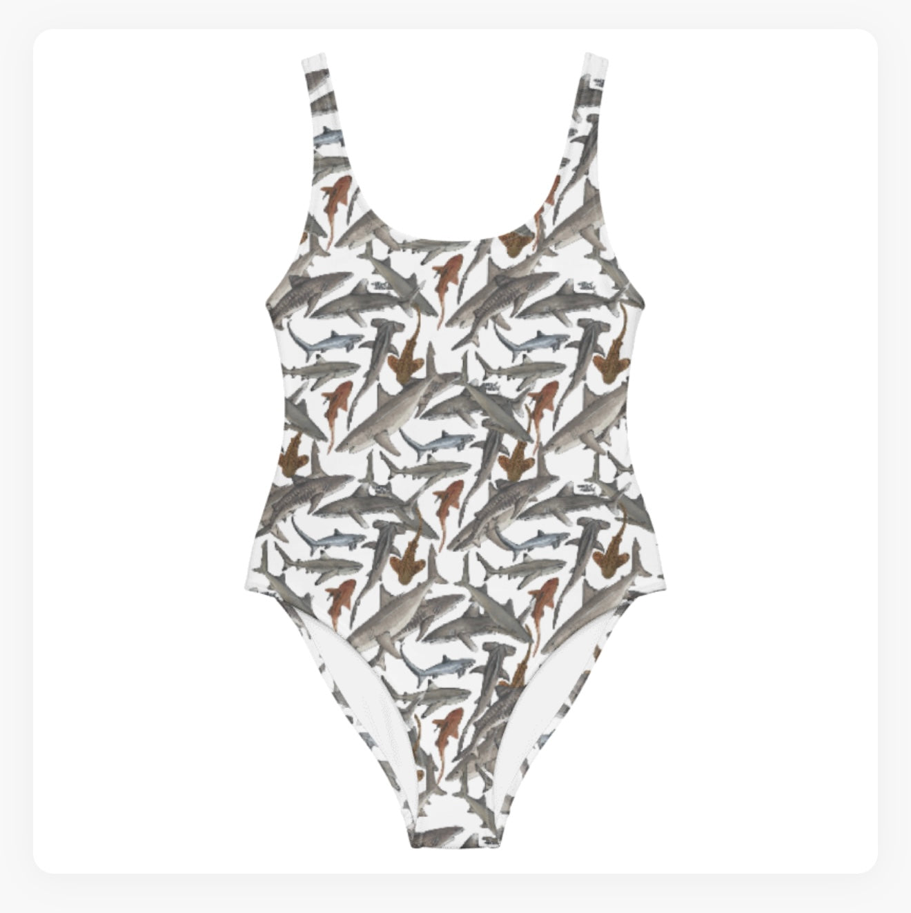 Shark Guardian Charity Swimsuits