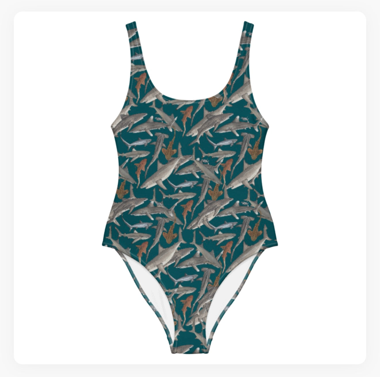 Shark Guardian Charity Swimsuits