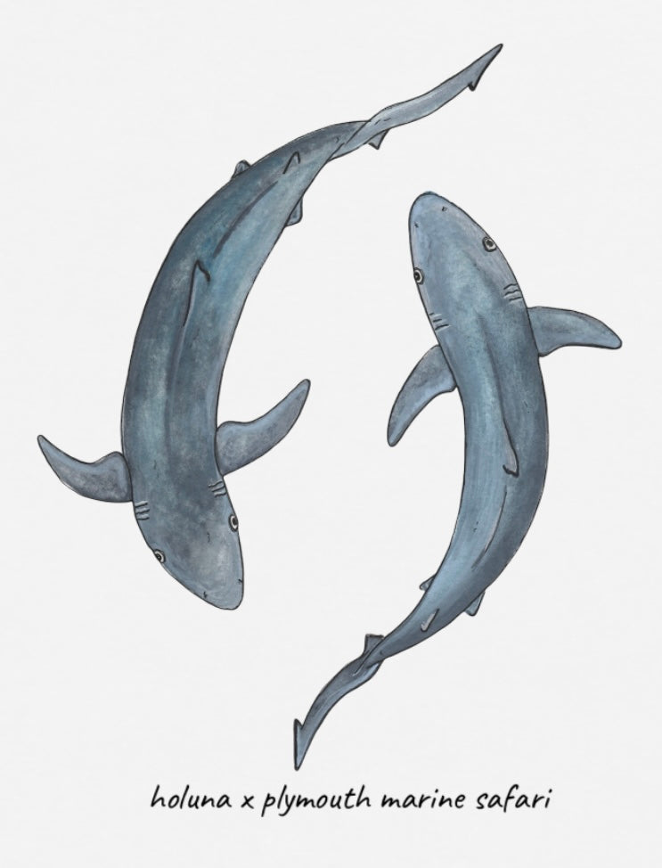 Blue Shark T Shirt