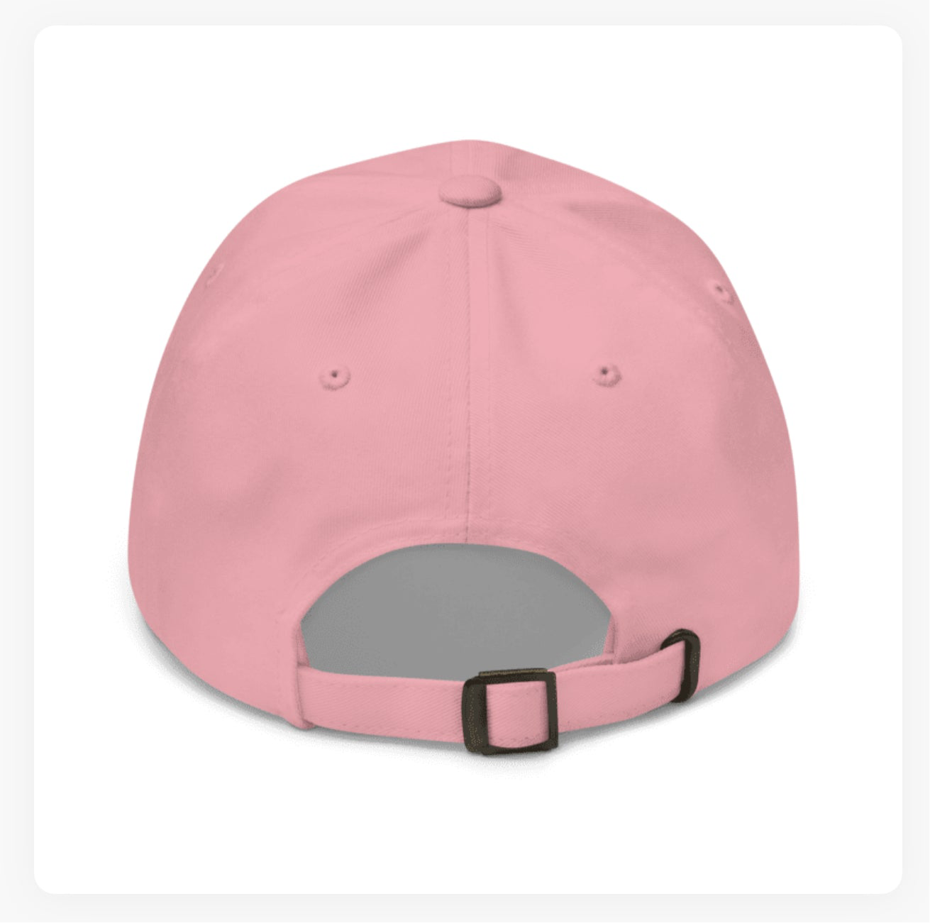 Dolphin Baseball Hat