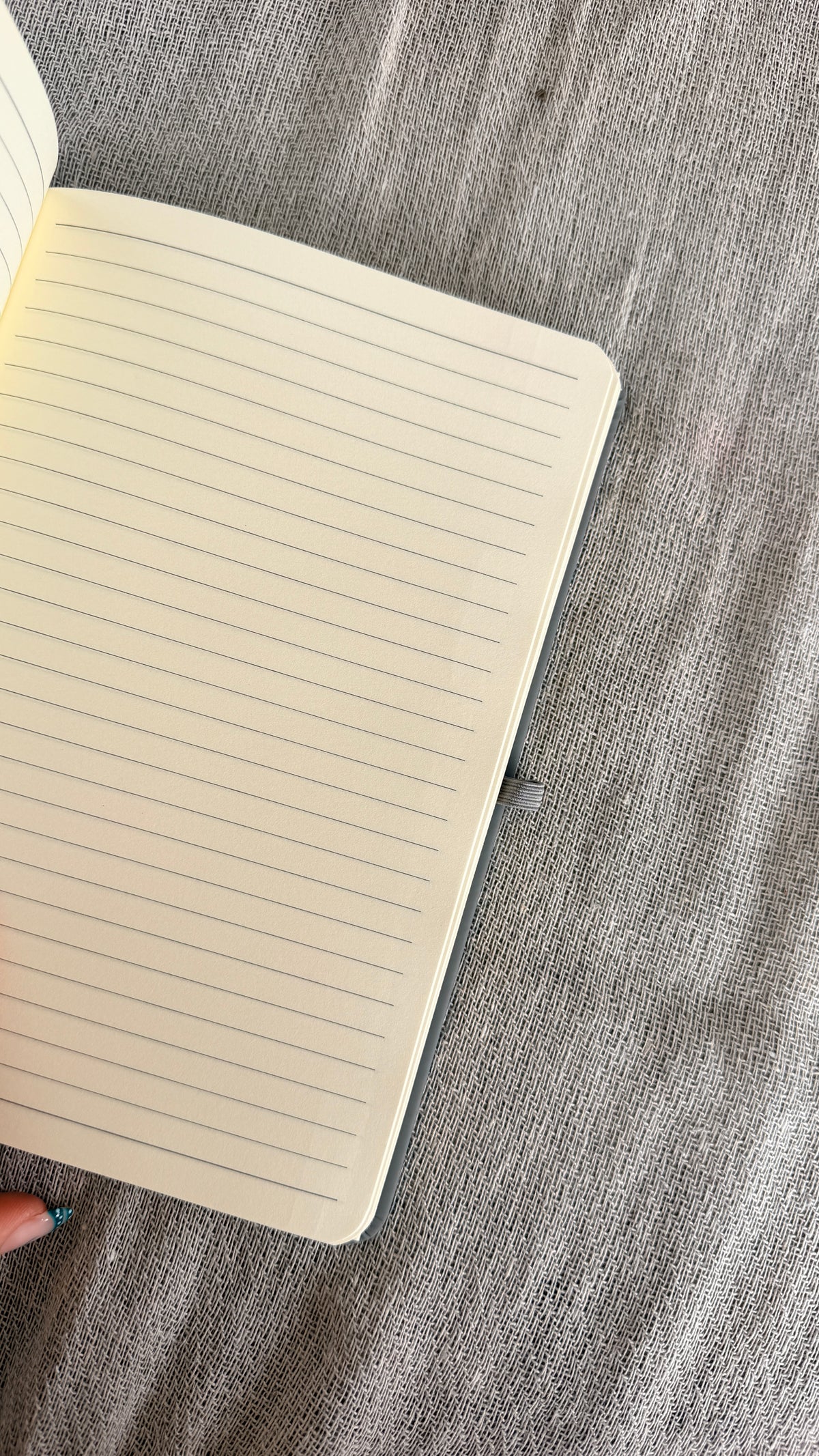 Seashell Notebook