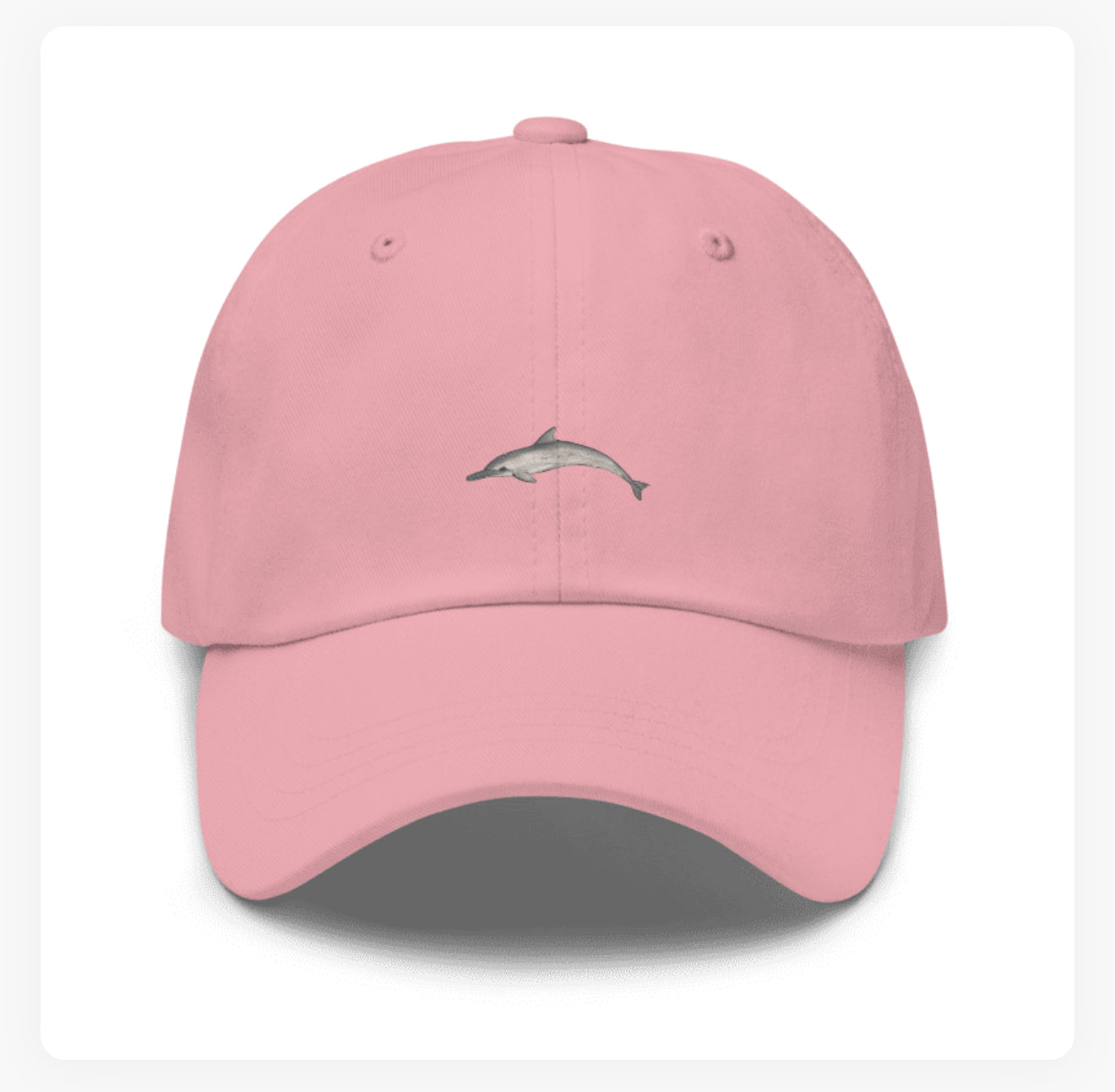 Dolphin Baseball Hat