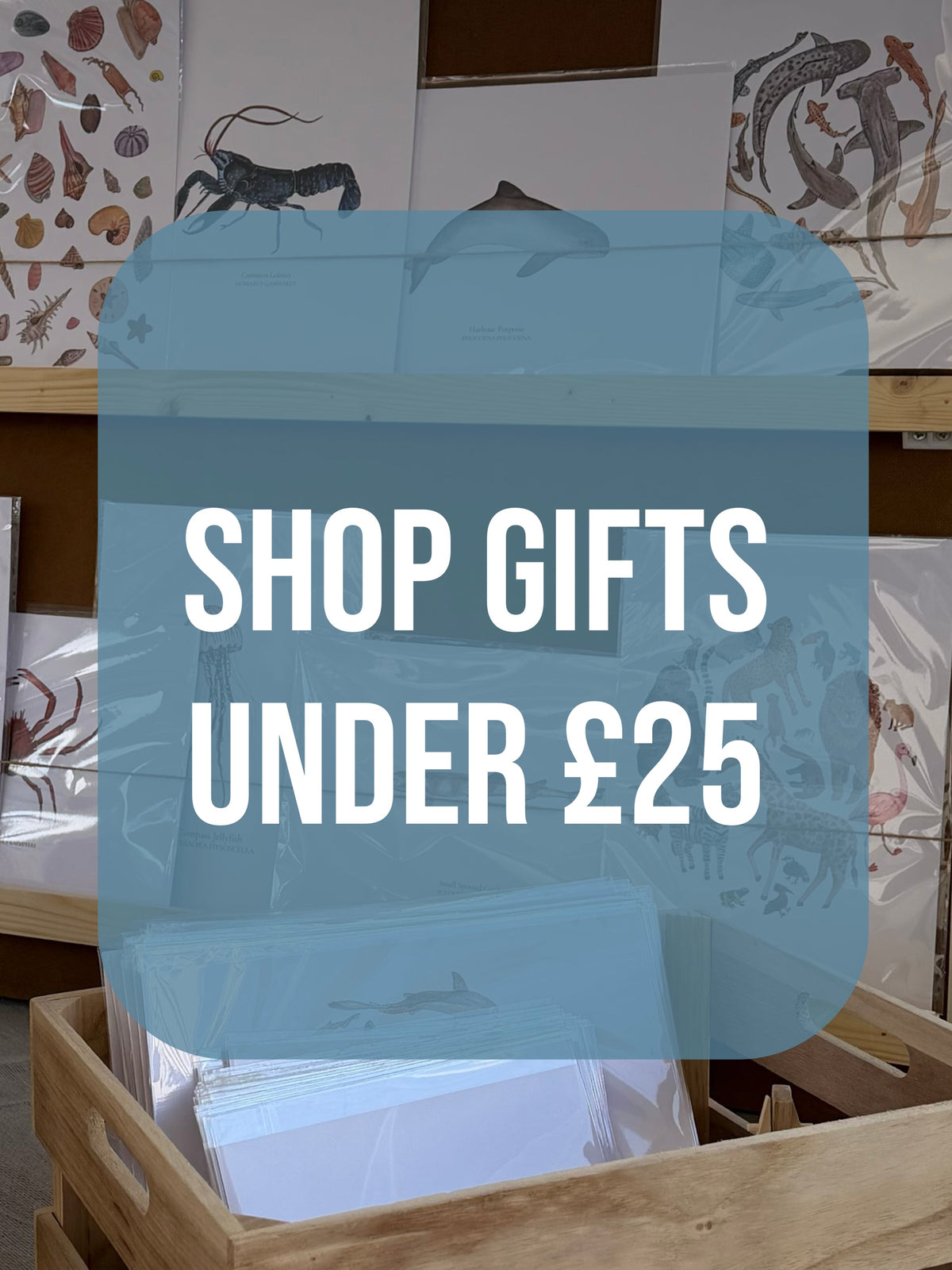 Gifts Under £25