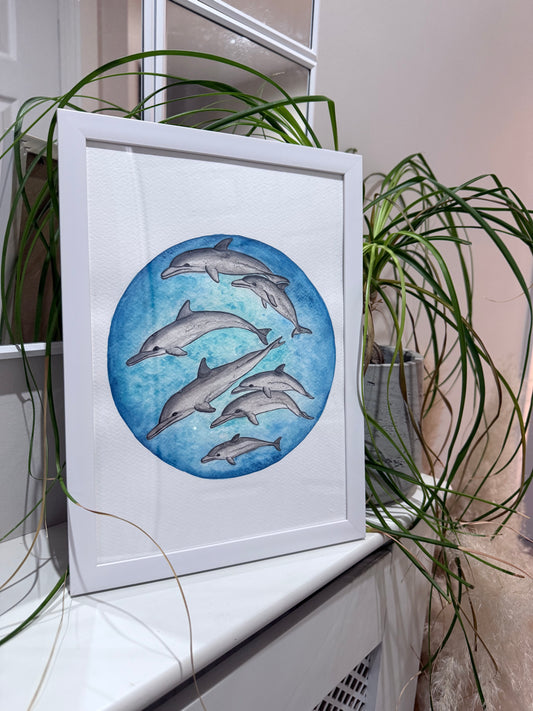 Dolphin Pod Watercolour Print
