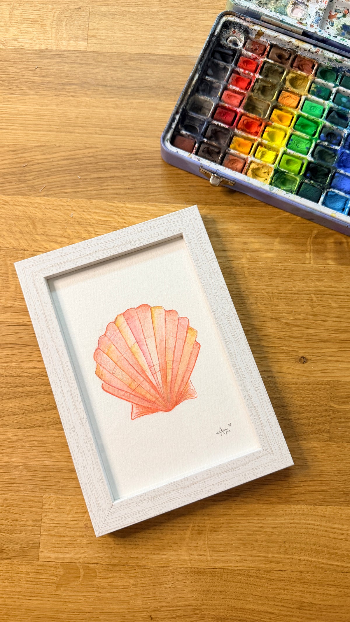 A6 Mini Framed Scallop Shell