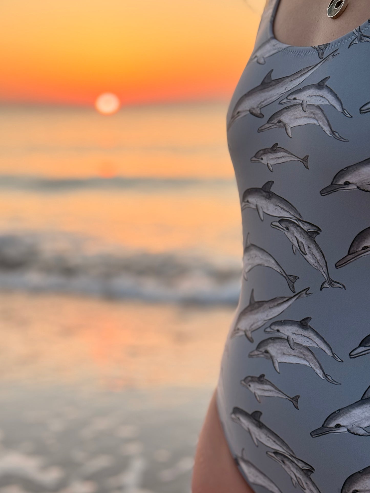Dolphin Pod Swimsuit