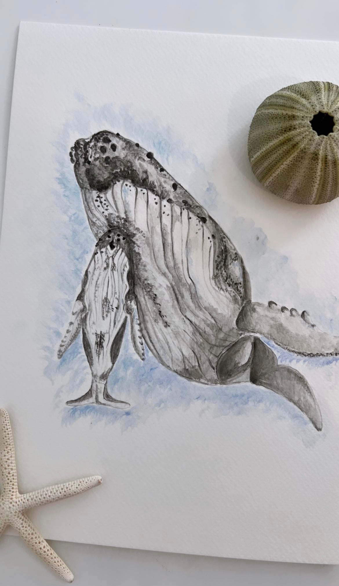 Custom Marine Animal Watercolour Painting