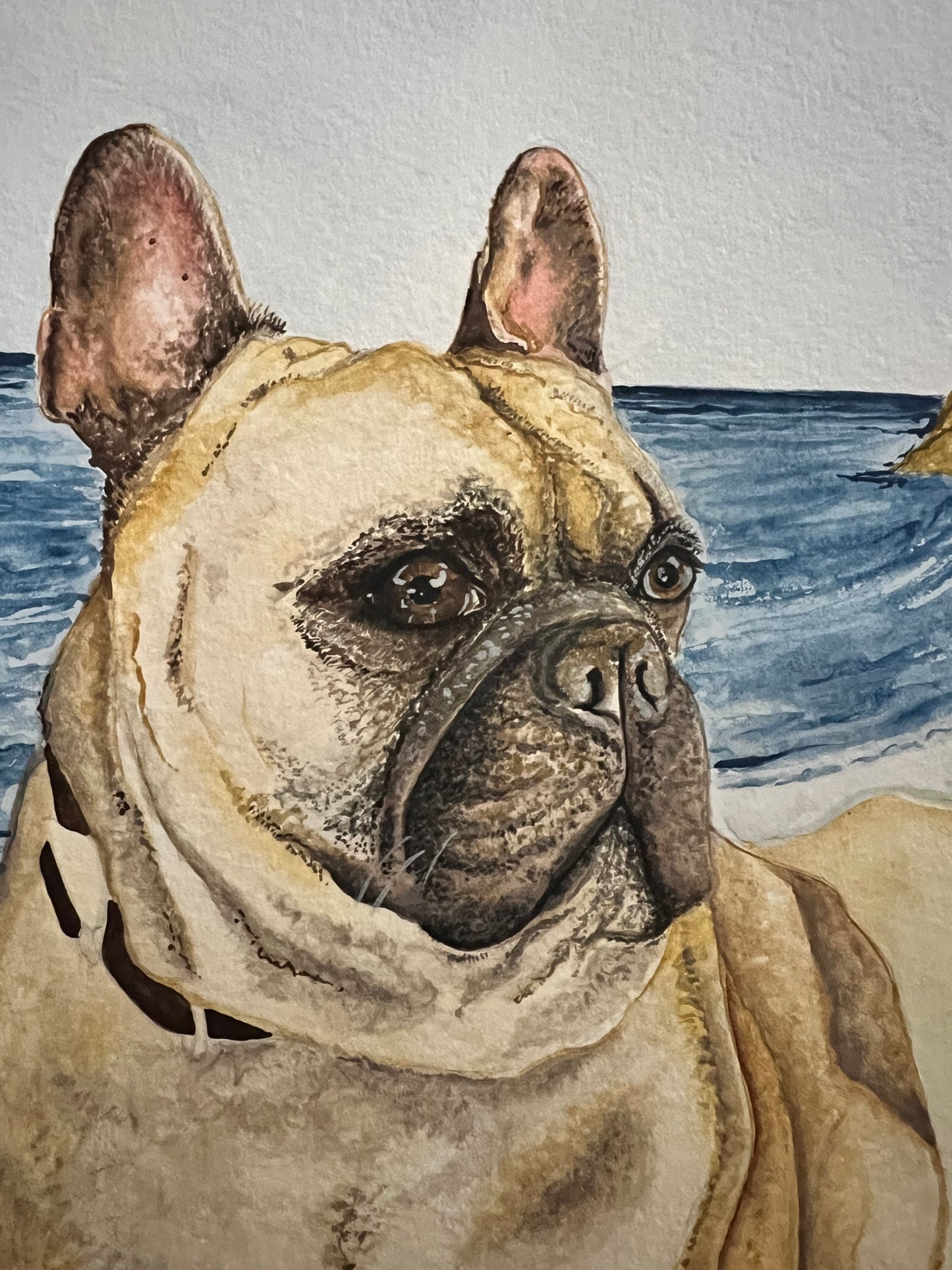 Custom Watercolour Pet Portrait