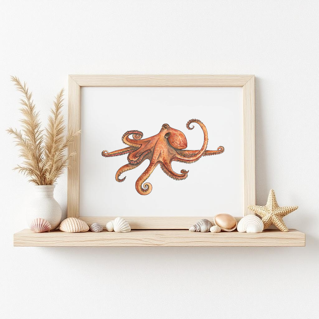 Octopus Fine Art Watercolour Print