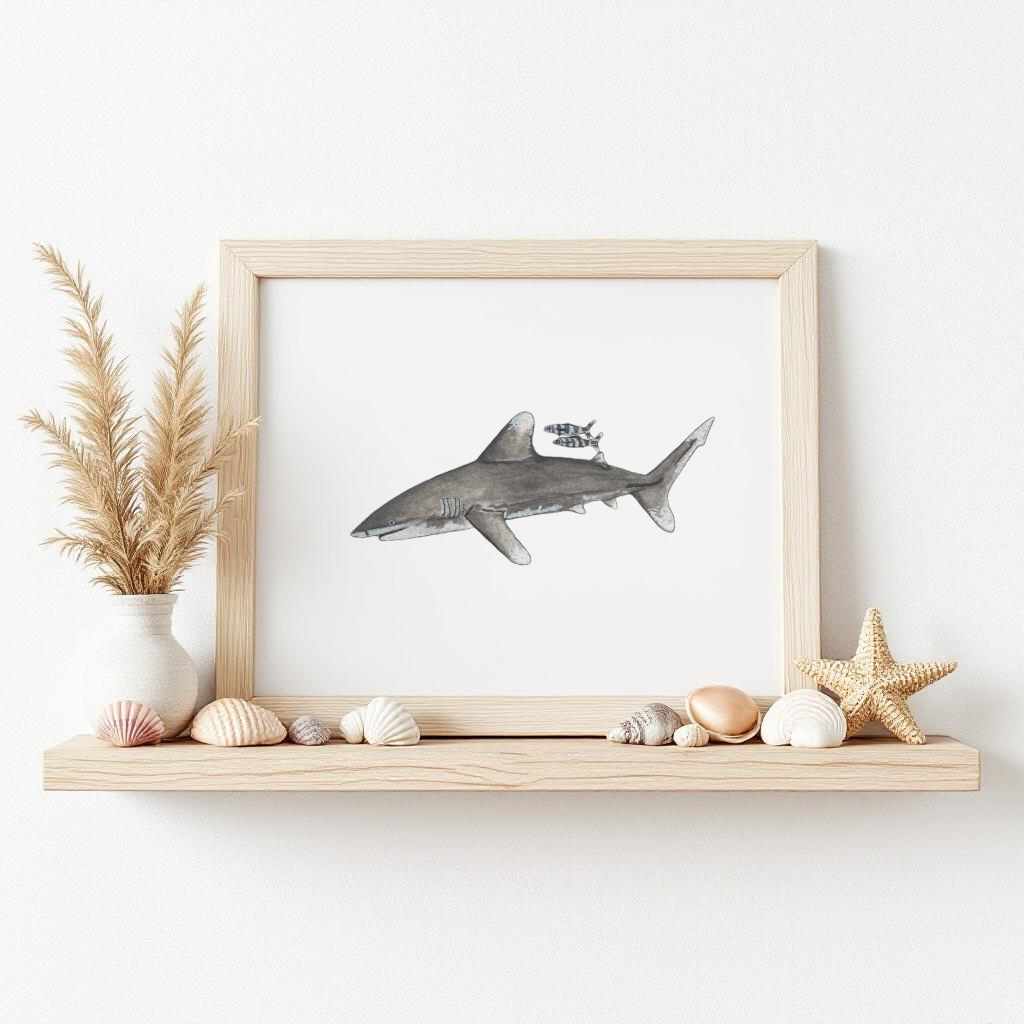Oceanic White Tip Fine Art Watercolour Print