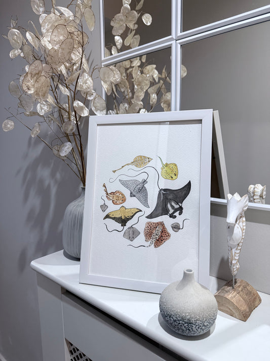Oceanic Ray Watercolour Print