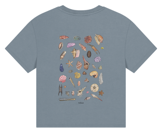 Seashell T Shirt