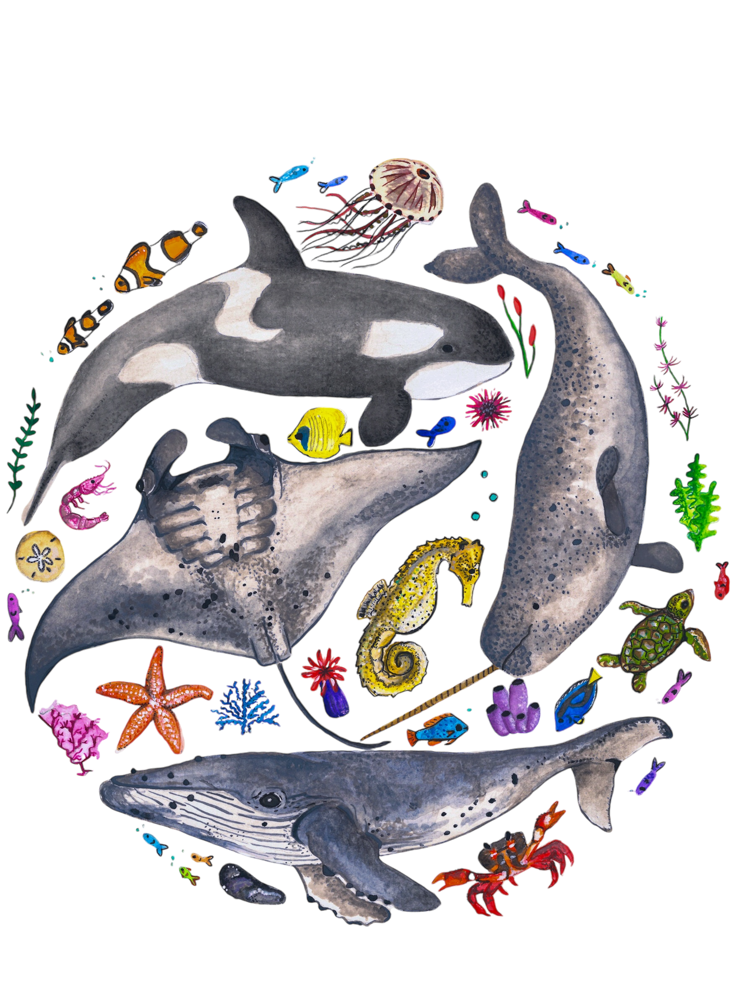 Custom Marine Life Painting