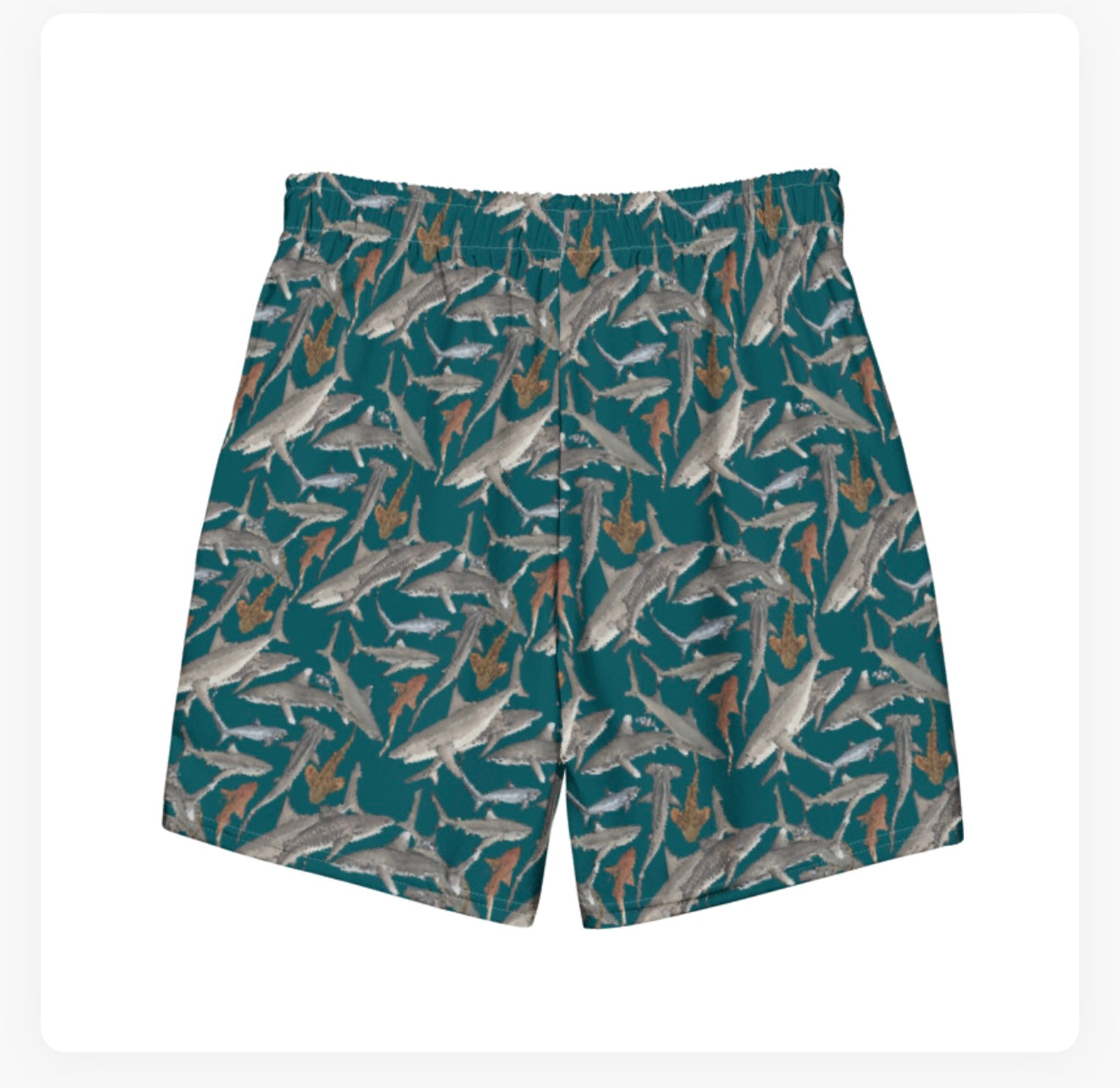 Shark Guardian Charity Trunks