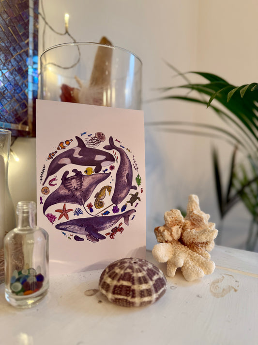 Marine Life Watercolour Print