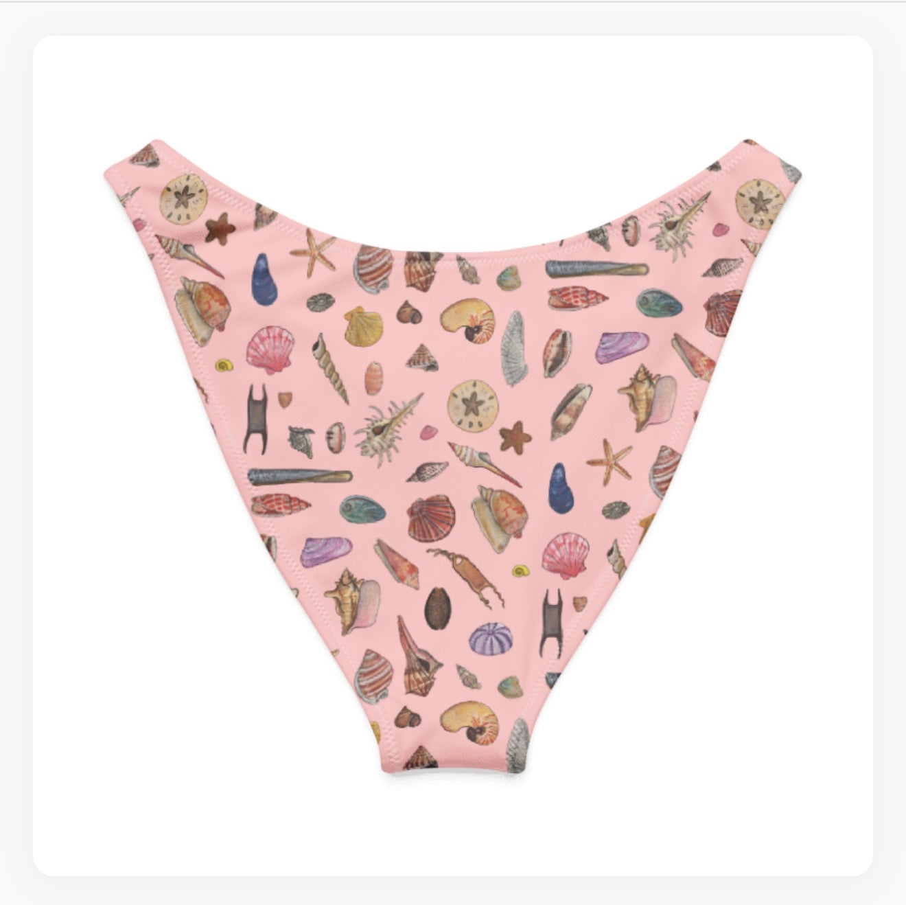 Seashells V-Cut Bikini Bottoms