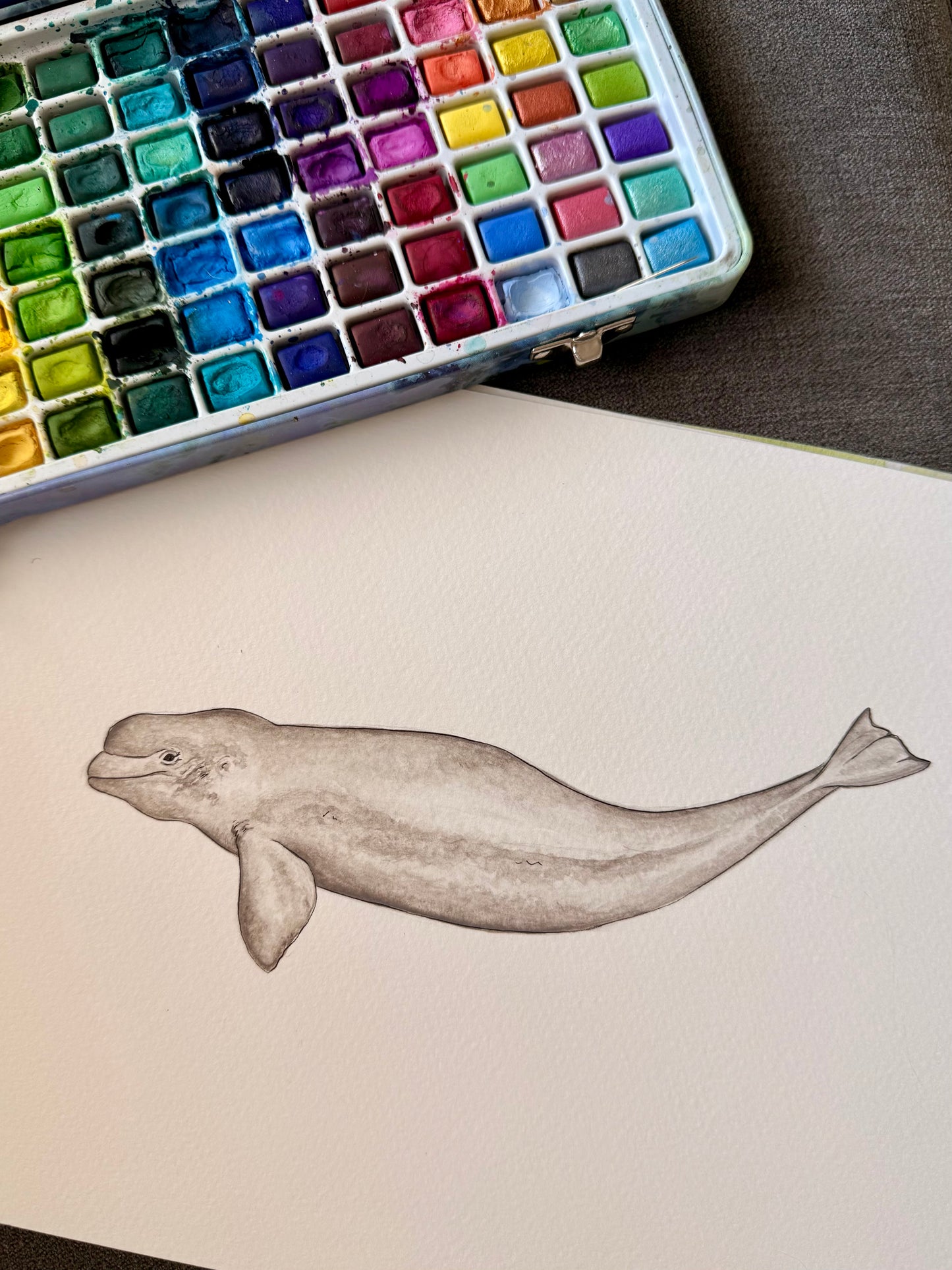 Custom Marine Animal Watercolour Painting