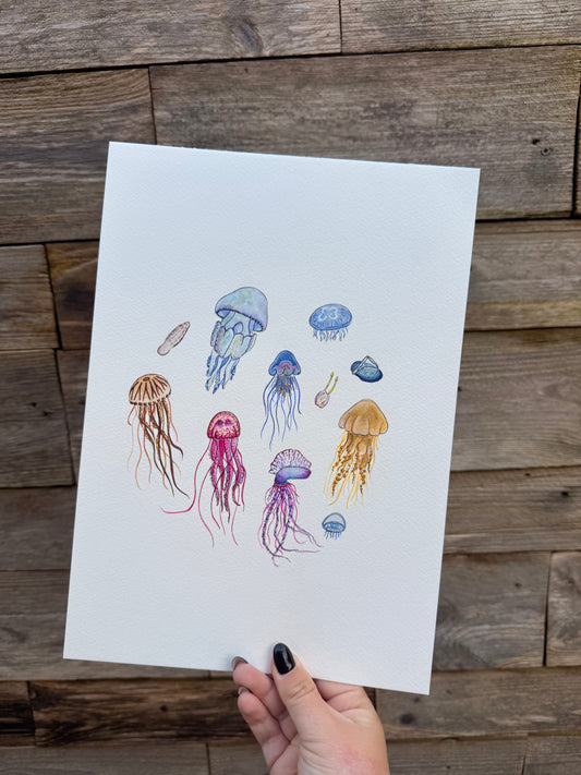 Jellyfish Watercolour Print