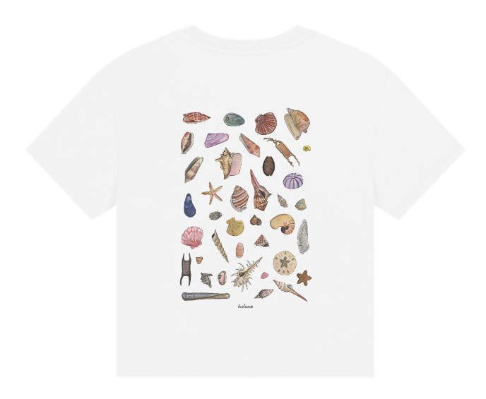 Seashell T Shirt