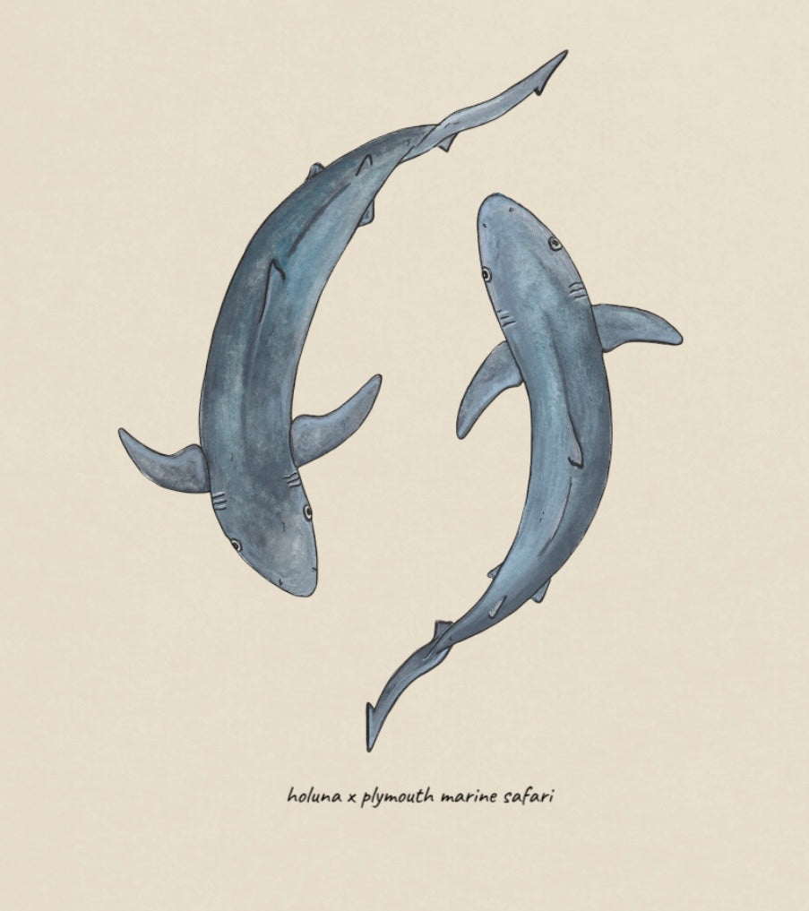 Blue Shark Sweatshirt