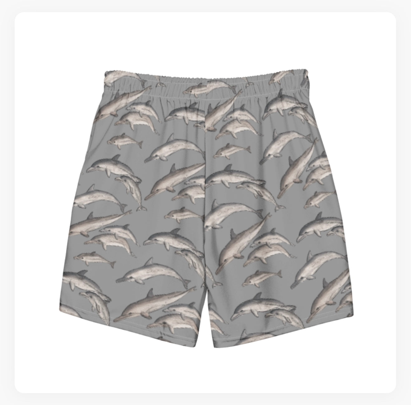 Dolphin Pod Swim Trunks