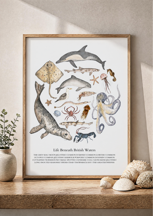 Life Beneath British Waters Fine Art Watercolour Print