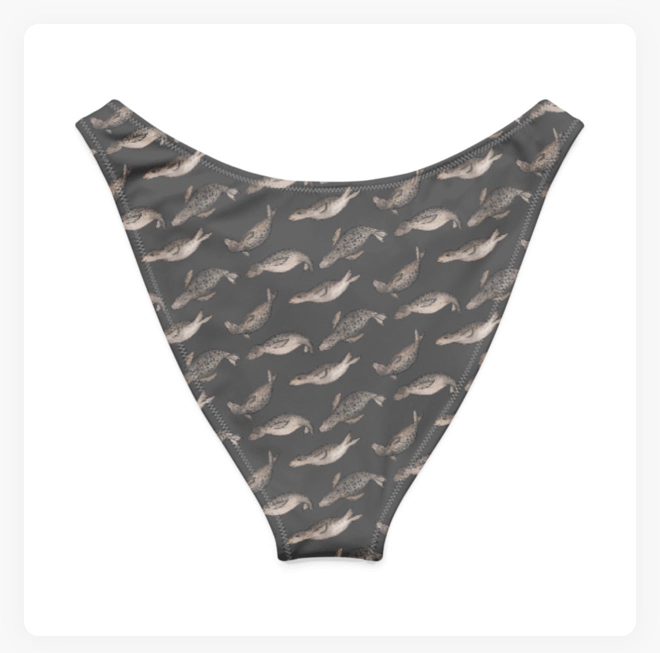 Seal Project V-Cut Bikini Bottoms