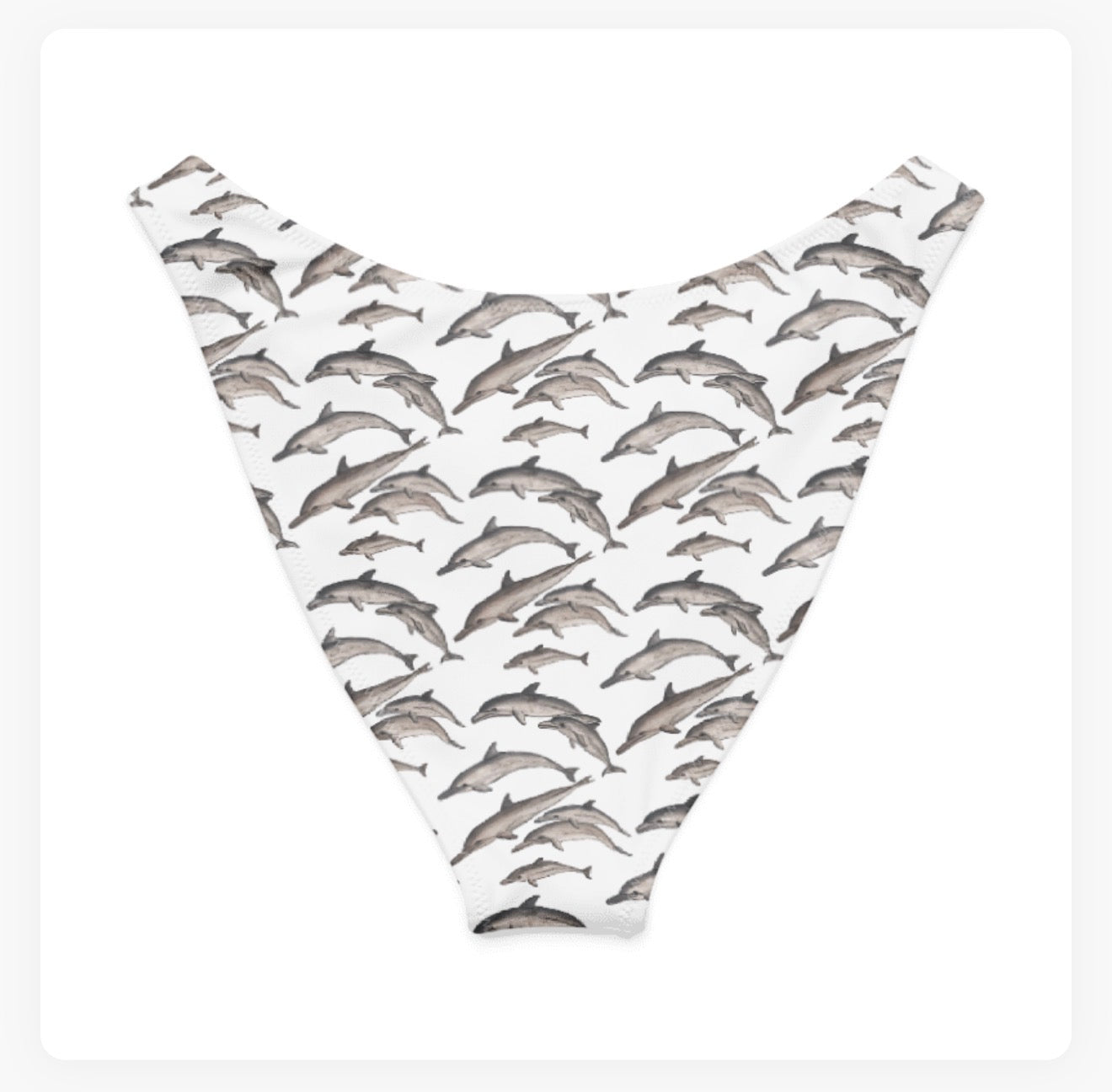 Dolphin Pod V-Cut Bikini Bottoms