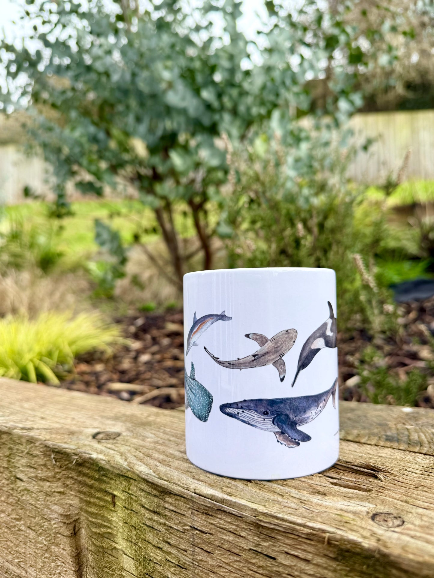 Watercolour Sea Life Mug