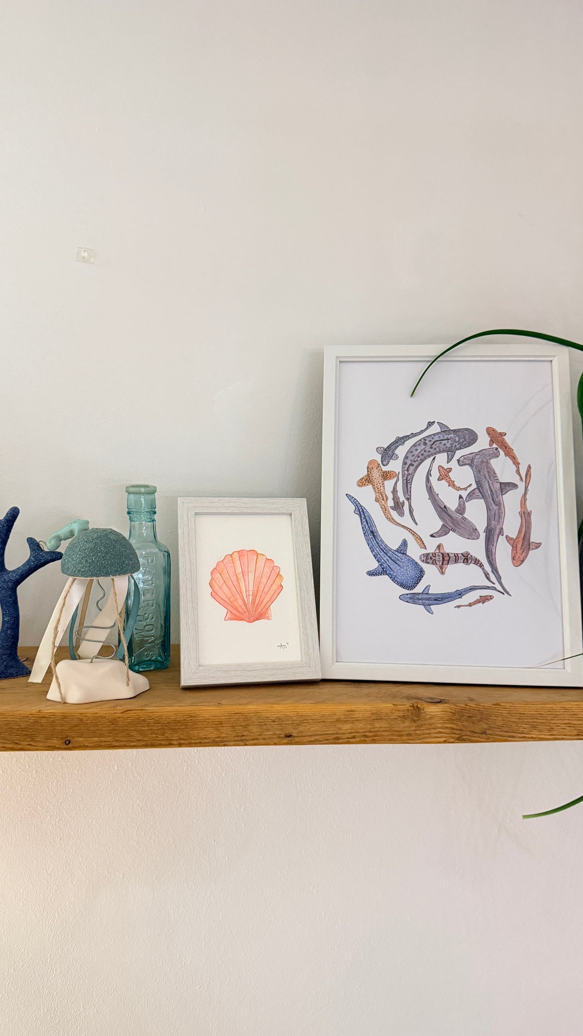 A6 Mini Framed Scallop Shell