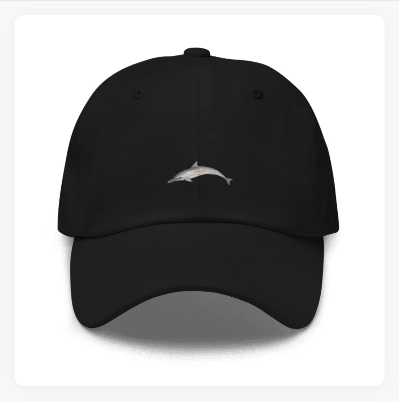 Dolphin Baseball Hat