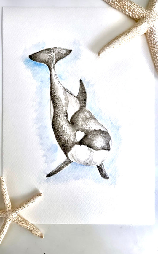 Custom Marine Animal Watercolour Painting