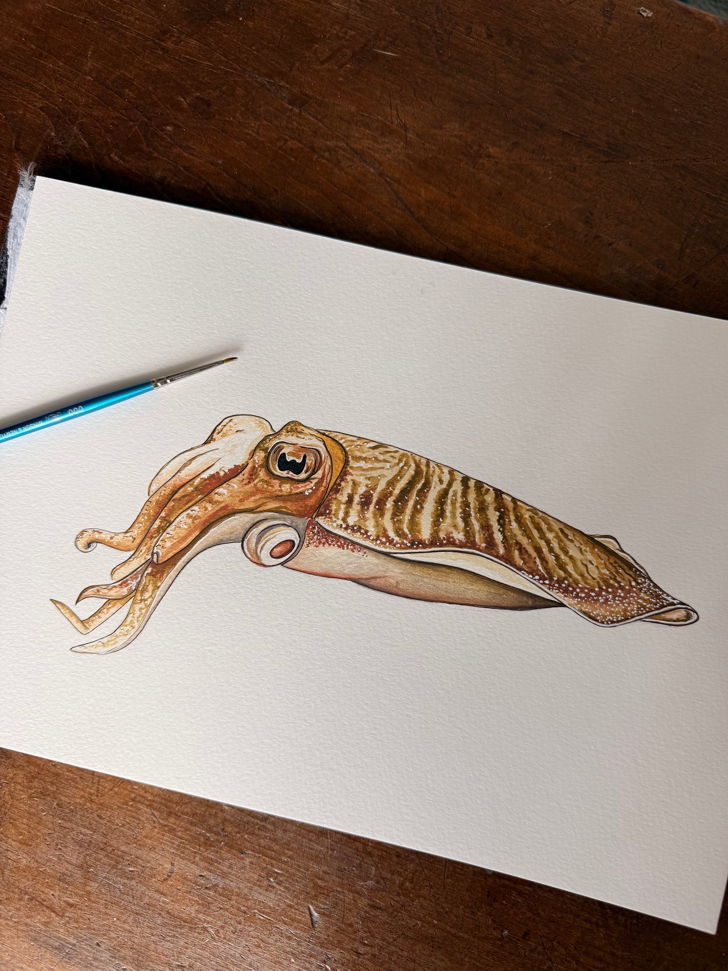 Custom Marine Animal Watercolour Painting