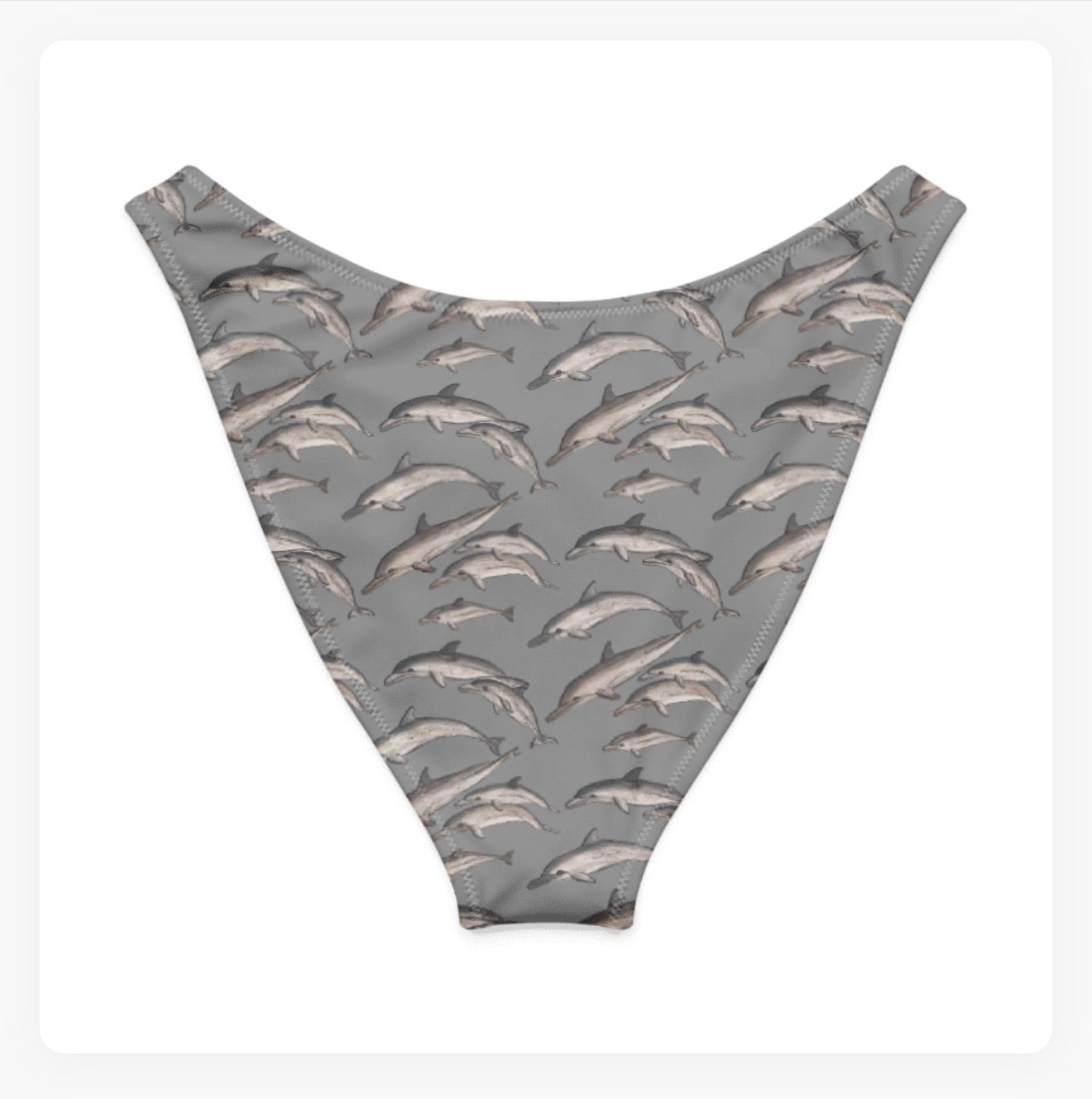 Dolphin Pod V-Cut Bikini Bottoms