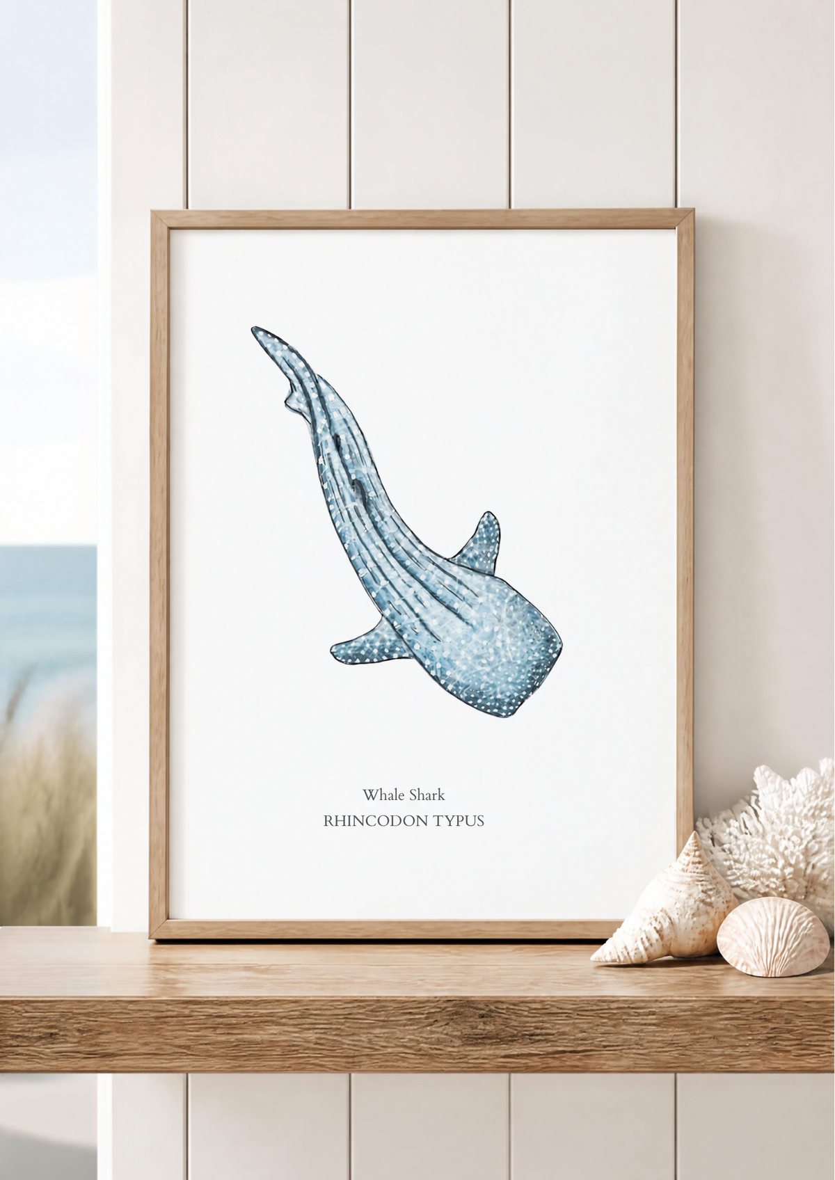 Whale Shark Fine Art Watercolour Print