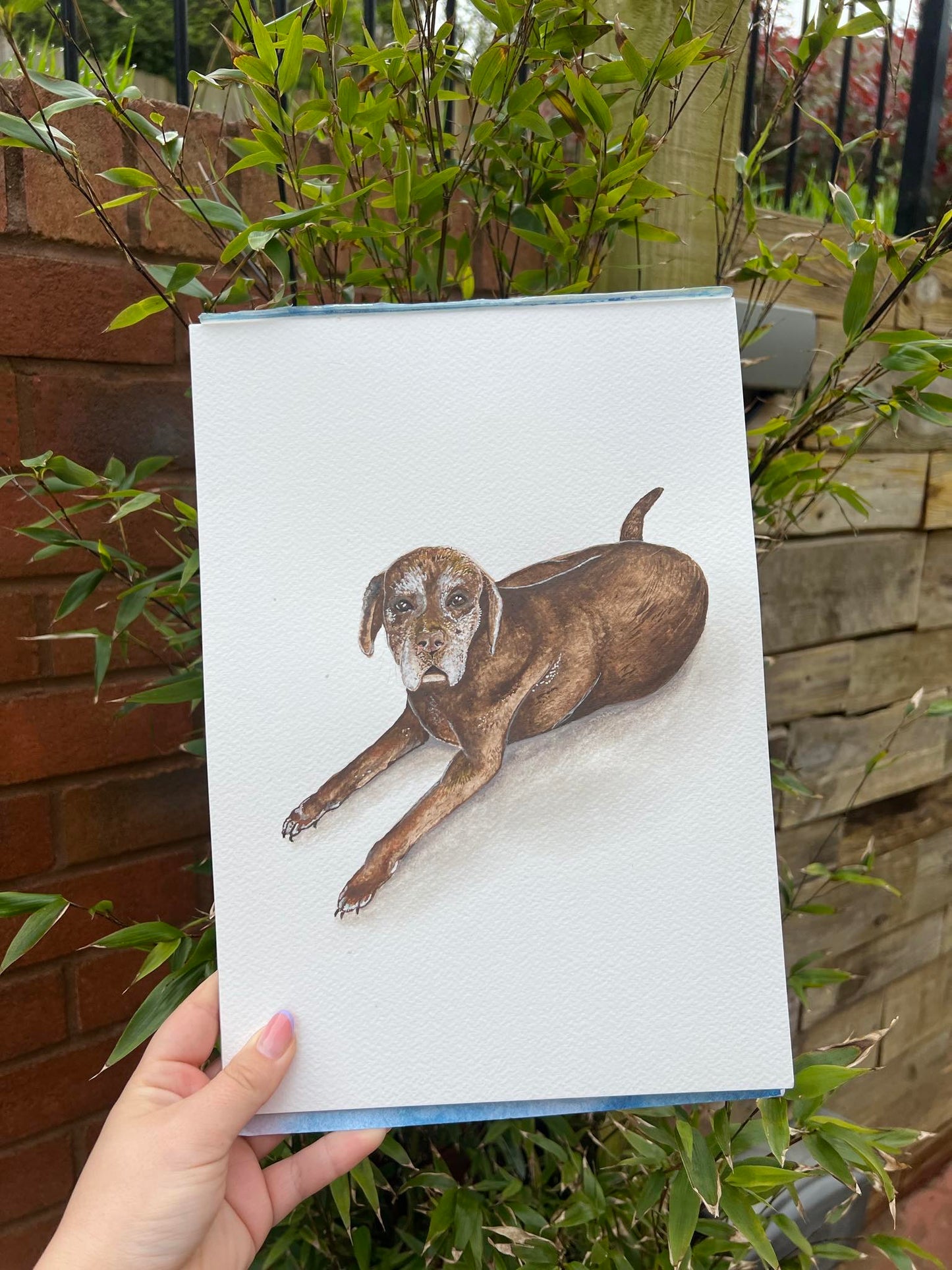 Custom Watercolour Pet Portrait
