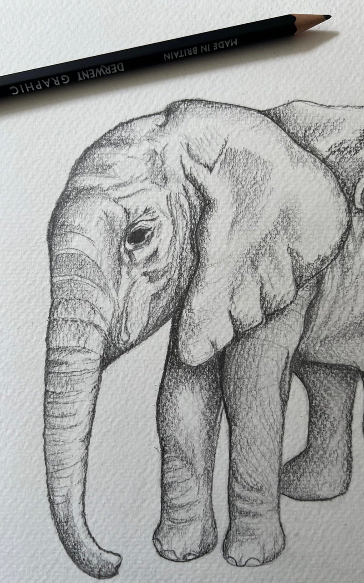 Custom Safari Animal Watercolour Painting