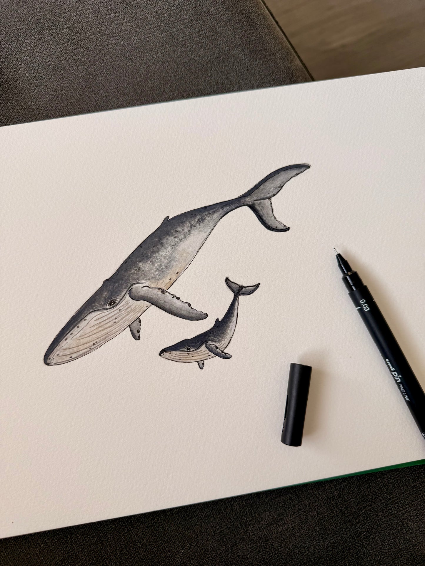 Custom Marine Animal Watercolour Painting