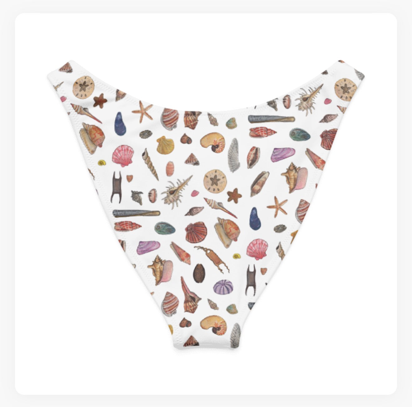 Seashells V-Cut Bikini Bottoms