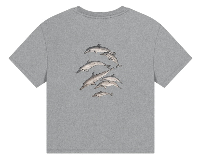 Dolphin Family T Shirt