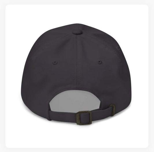 Dolphin Baseball Hat